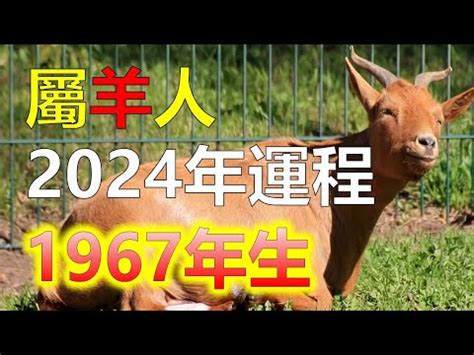 屬羊幾歲2023|【屬羊幾歲2023】揭密！屬羊幾歲2023怎麼算？歲數對照表一次。